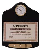 PIONEER